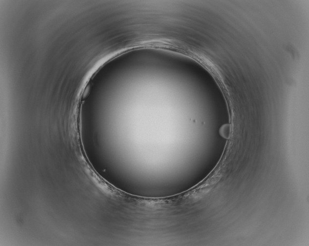 X0000112480816200908171218