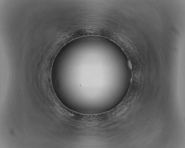 X0000112480817200908171218