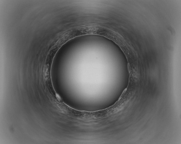X0000112480818200908171218