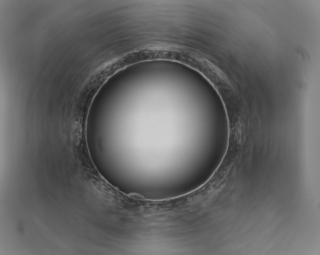 X0000112480821200908171218