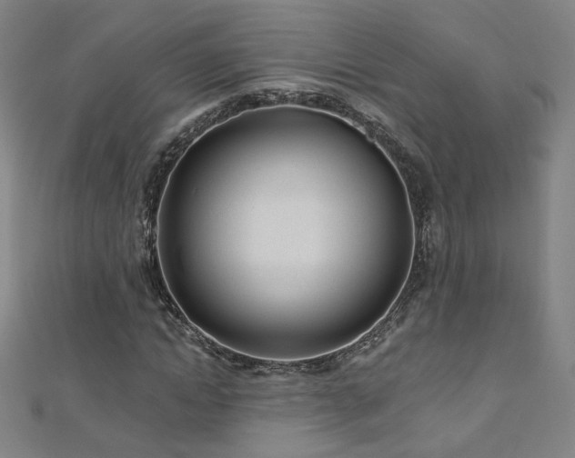 X0000112480822200908171218