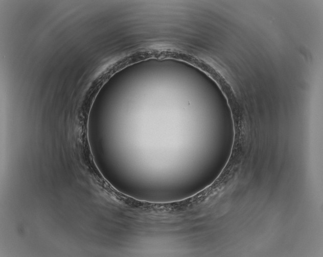 X0000112480823200908171218