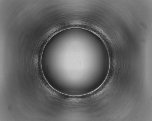X0000112480825200908171218