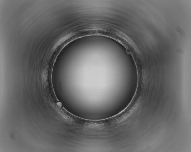 X0000112480826200908171218