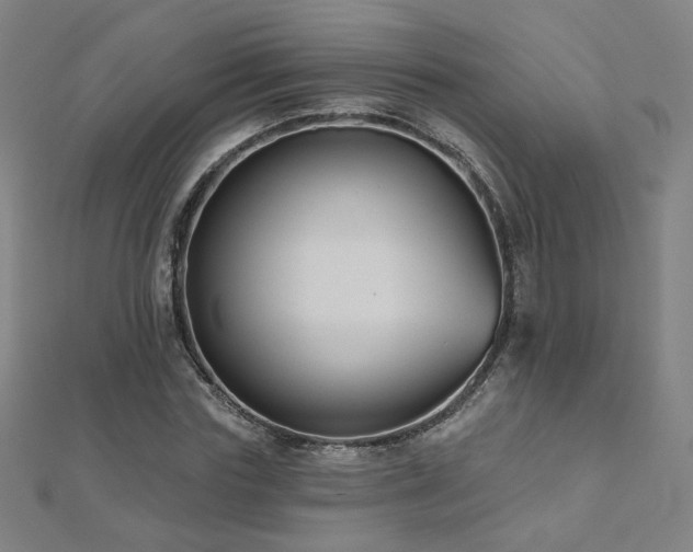 X0000112480827200908171218