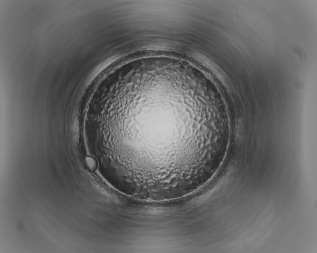 X0000112480829200908171218