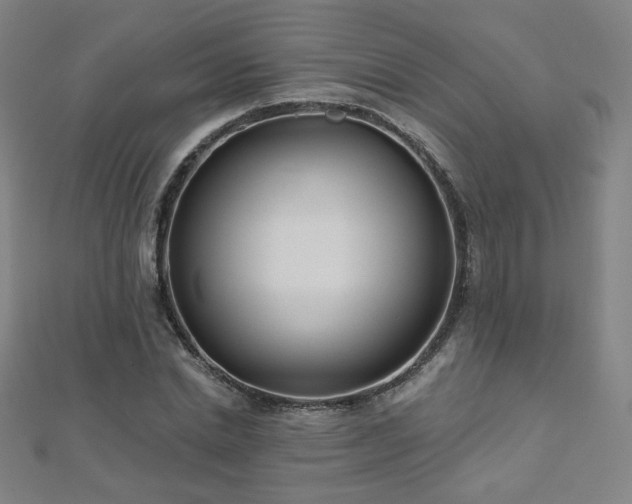 X0000112480830200908171218