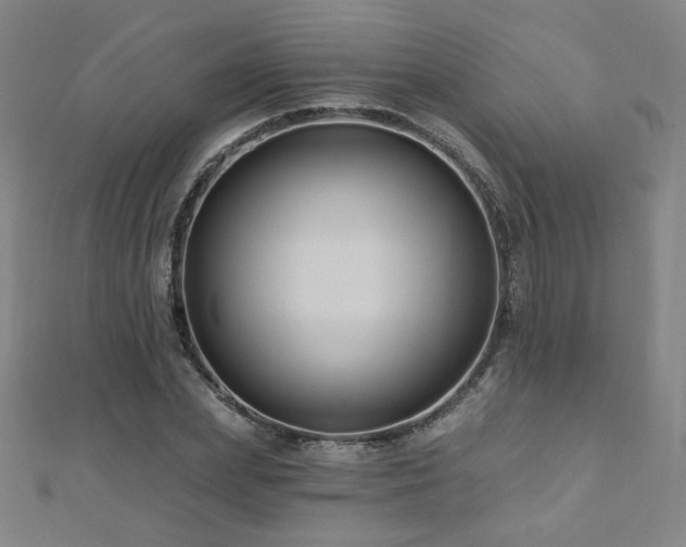 X0000112480831200908171218