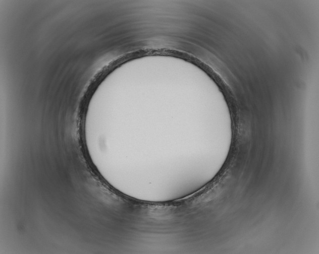 X0000112480832200908171218