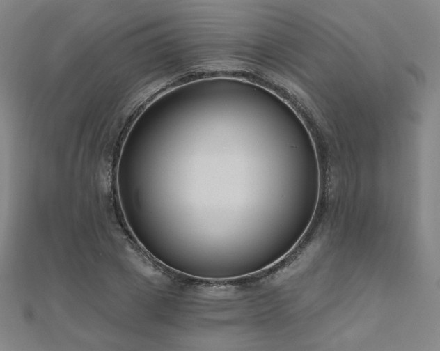 X0000112480833200908171218