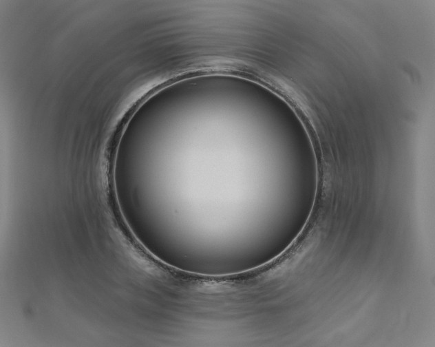 X0000112480835200908171218