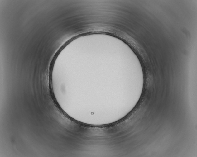 X0000112480836200908171218