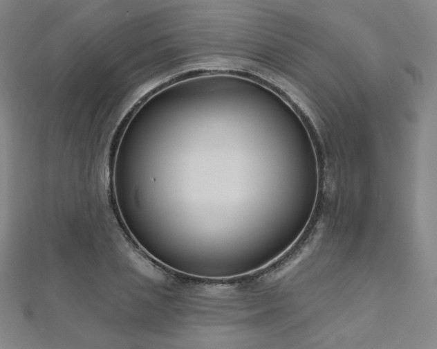 X0000112480837200908171218