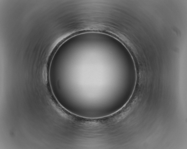 X0000112480838200908171218