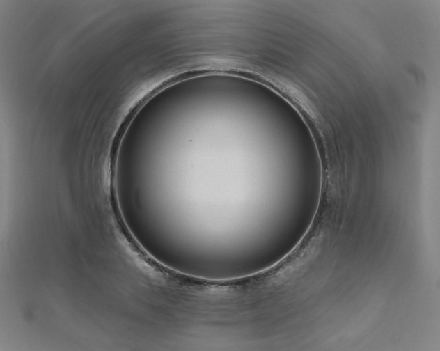 X0000112480839200908171218