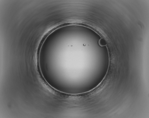X0000112480840200908171218