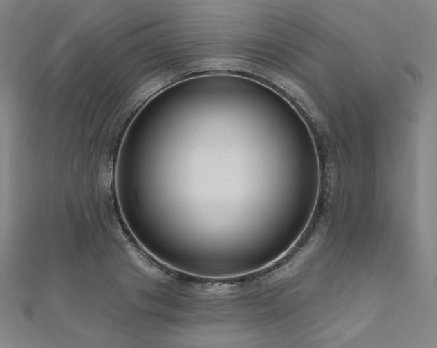 X0000112480841200908171218