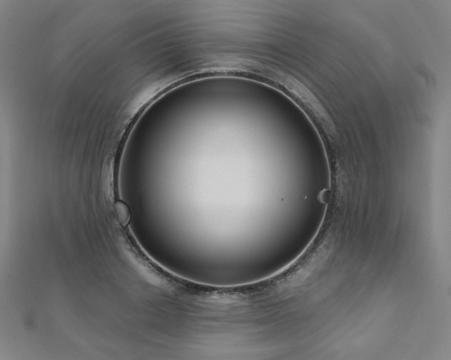 X0000112480842200908171218