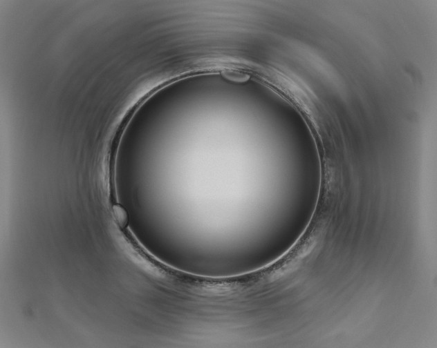 X0000112480843200908171218