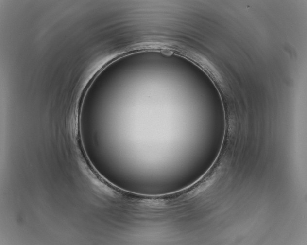 X0000112480844200908171218