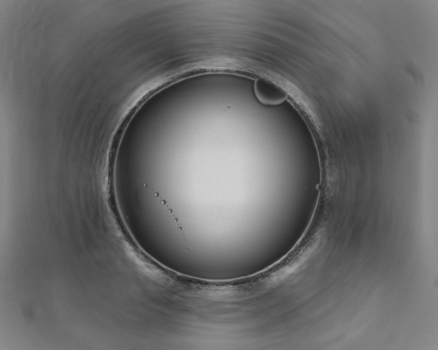 X0000112480845200908171218