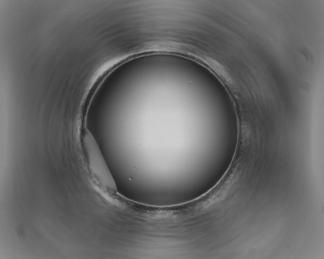 X0000112480846200908171218