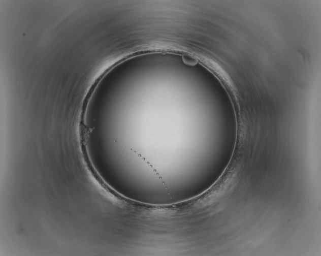 X0000112480847200908171218