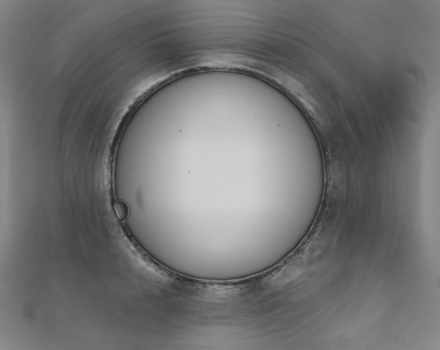X0000112480848200908171218