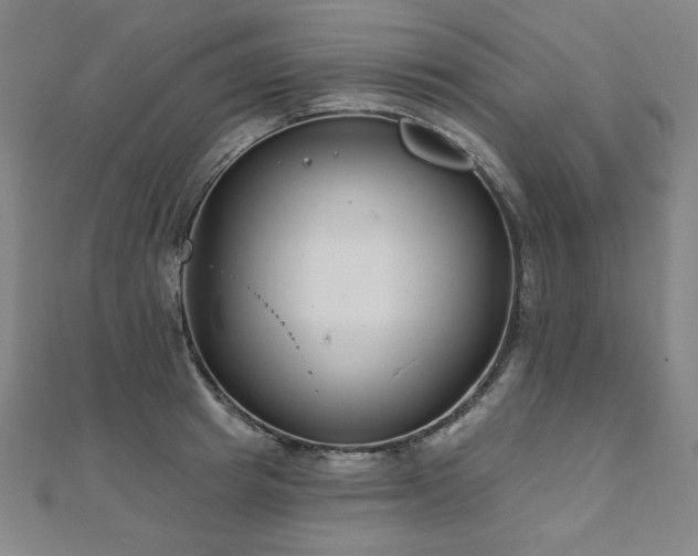 X0000112480849200908171218