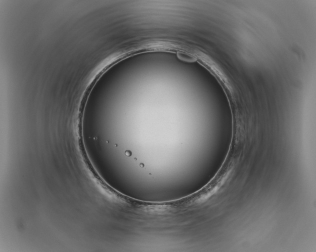 X0000112480853200908171218