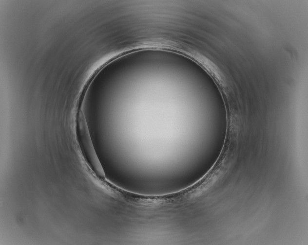 X0000112480854200908171218