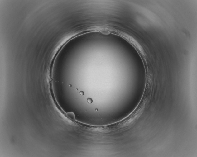 X0000112480855200908171218
