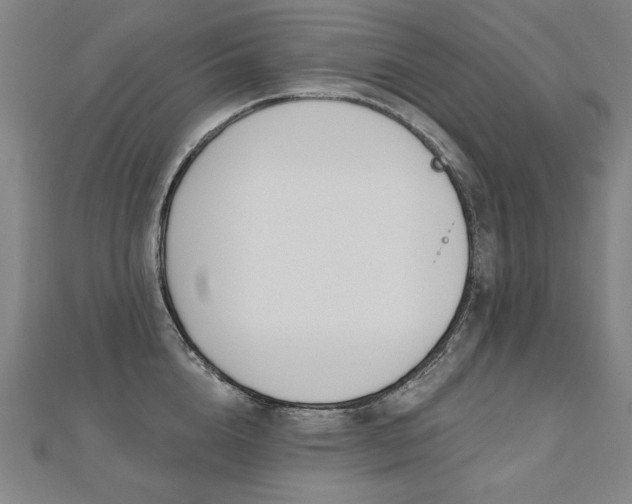 X0000112480856200908171218