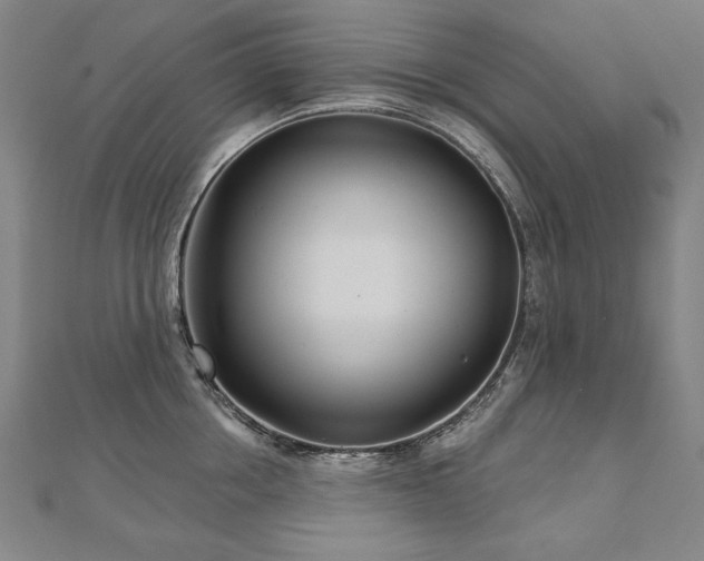 X0000112480858200908171218