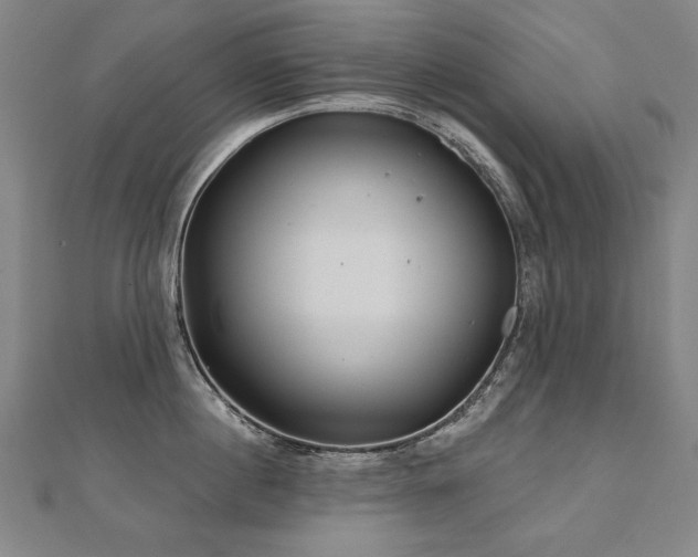X0000112480860200908171218