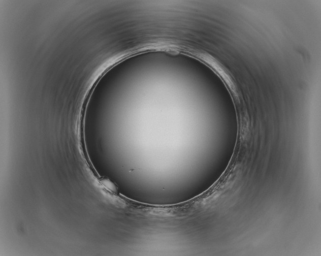 X0000112480861200908171218