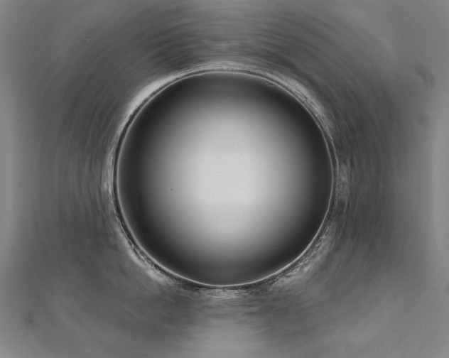 X0000112480862200908171218