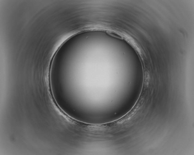 X0000112480863200908171218