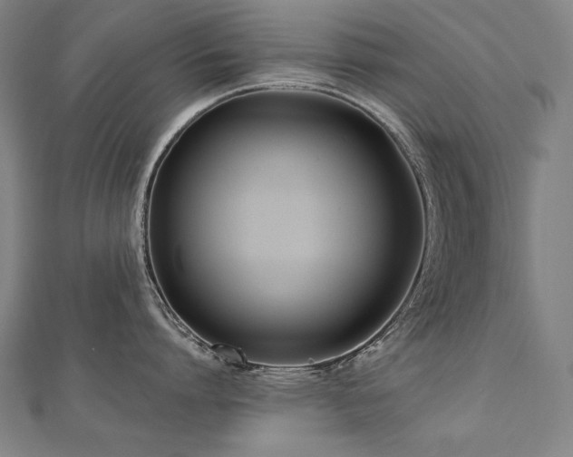 X0000112480864200908171218