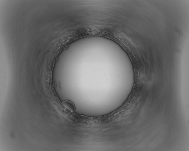 X0000112480865200908171218