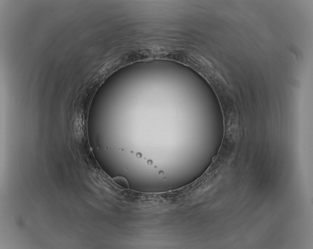 X0000112480866200908171218