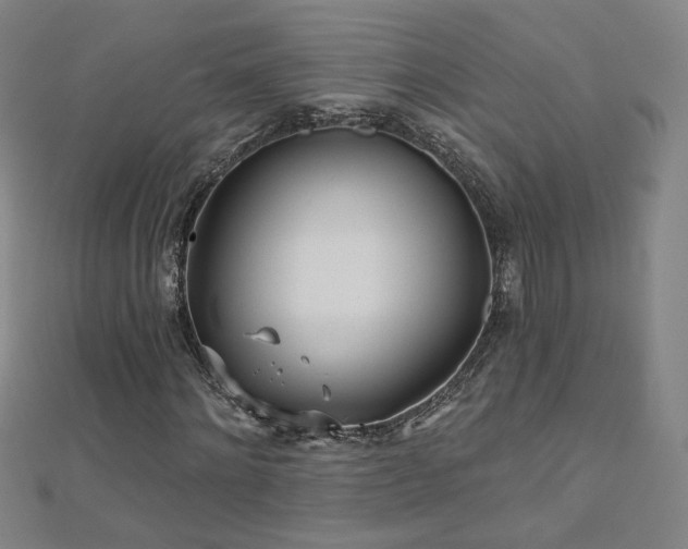 X0000112480868200908171218