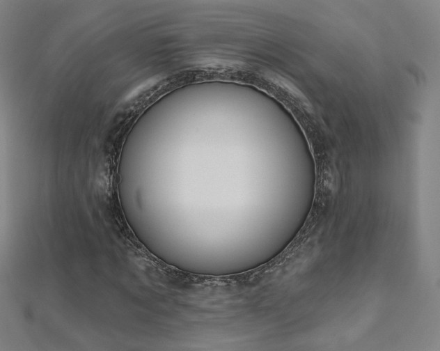 X0000112480869200908171218