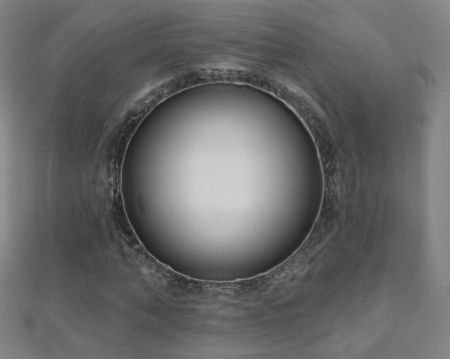 X0000112480870200908171218