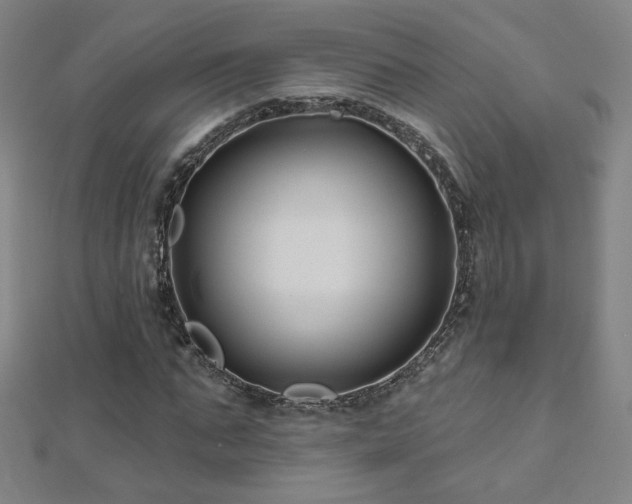 X0000112480871200908171218