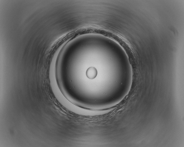 X0000112480872200908171218