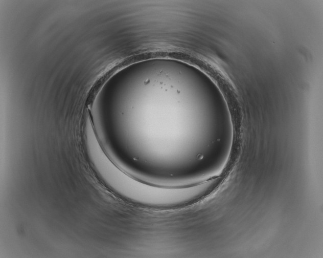 X0000112480873200908171217