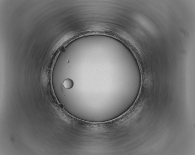 X0000112480874200908171217