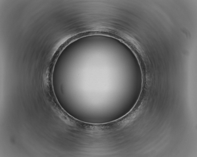 X0000112480875200908171217