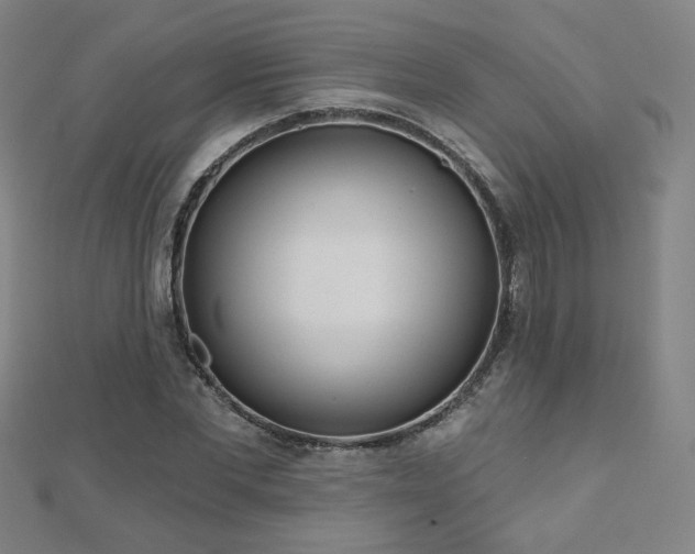 X0000112480877200908171217